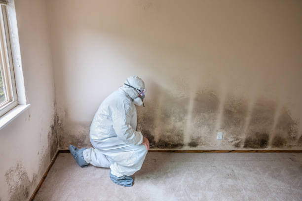 Best Real Estate Mold Inspection  in Hortonville, WI